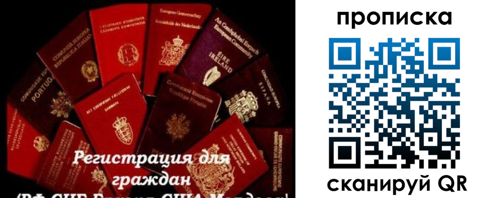 прописка в квартире в Михайловке